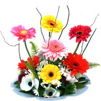 Urankent g�n� �i�ek yolla  camda gerbera ve mis kokulu kir �i�ekleri 