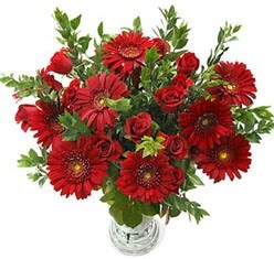 5 adet kirmizi g�l 5 adet gerbera aranjmani Urankent g�n� �i�ek yolla 