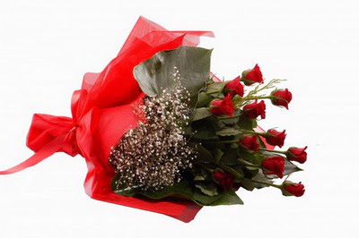 Bat�kent yurti�i �i�ek sipari�i  11 adet kirmizi g�l buketi �i�ek�i