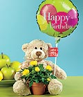 Demetevler �i�ek sipari�i  Ayicik balon ve saksida sari g�ller