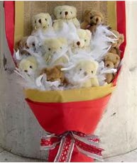 kaliteli taze ve ucuz �i�ekler  11 adet pelu� ay�dan ay� buketi