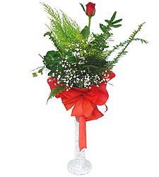 Yeni bat� mahallesi , �i�ek�i , �i�ek�ilik  Cam vazoda masum tek g�l