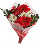 Mevsim �i�eklerinden g�rsel buket �ak�rlar �i�ek yolla , �i�ek g�nder 