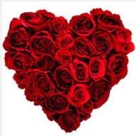 �aml�ca mahallesi �i�ek ma�azas�  19 adet k�rm�z� g�lden kalp tanzimi