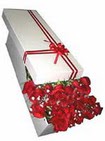 Macunk�y sevgilime hediye �i�ek  11 adet 1.kalite magnum g�ller