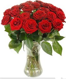me�rutiyet �i�ek�i ma�azas�  Vazoda 15 adet k�rm�z� g�l tanzimi