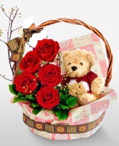sepet i�erisinde 5 adet g�l ve 15 cm ay�c�k Fatih �i�ek sipari�i vermek 