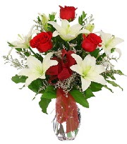 5 adet k�rm�z� g�l ve 1 dal kazablanka Bat�kent yurti�i �i�ek sipari�i 