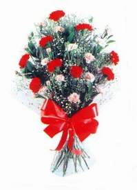 Macunk�y sevgilime hediye �i�ek  Karanfillerden g�zel bir demet