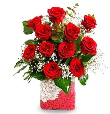 11 adet k�rm�z� g�l vazosu Ergazi Mahallesi �i�ek g�nderme sitemiz g�venlidir 