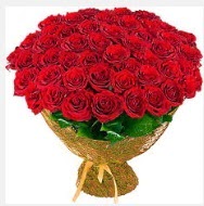 51 adet g�l 1 g�nl���ne indirimde Macunk�y sevgilime hediye �i�ek  