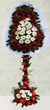 kaliteli taze ve ucuz �i�ekler  �ift katl� d���n a��l�� �i�e�i