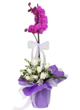 1 dal mor orkide ve 11 adet beyaz g�l Sincan �i�ek sipari�i 