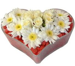 Kalp i�erisinde 7 beyaz g�l ve papatyalar kaliteli taze ve ucuz �i�ekler 