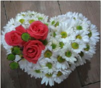 3 adet k�rm�z� g�l mika kalptte papatyalar kaliteli taze ve ucuz �i�ekler 