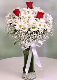 Cam i�inde papatyalar 3 adet k�rm�z� g�l Yeni bat� mahallesi , �i�ek�i , �i�ek�ilik 