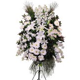 Ergazi Mahallesi �i�ek g�nderme sitemiz g�venlidir  Ferforje beyaz renkli kazablanka