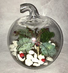 K���k terrarium elma 3 kakt�s me�rutiyet �i�ek�i ma�azas� 
