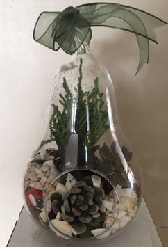 Orta boy armut terrarium 3 kakt�s Bat�kent �i�ek sipari�i sitesi 