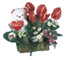 U�ur mumcu mahallesi �i�ek sat���  Lilyum ve oyuncakli arajman 