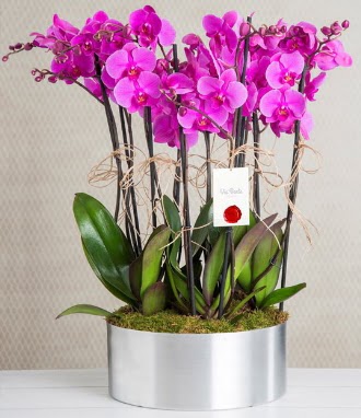11 dall mor orkide metal vazoda Batkent nternetten iek siparii 