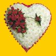 �n�n� mahallesi �i�ek�i telefonlar�  1.20m x 1.20m  Gerbera G�ller