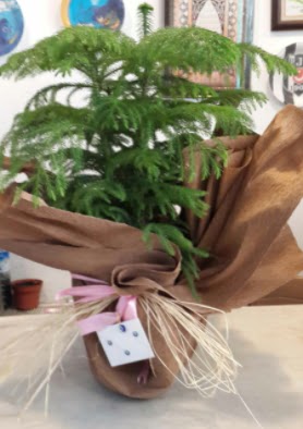 Salon �am� s�per k�k dall� Bat�kent �nternetten �i�ek sipari�i 