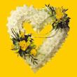 Macunk�y sevgilime hediye �i�ek  1.20m x 1m  Gerbera - G�ller