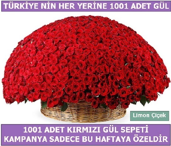 1001 Adet k�rm�z� g�l Bu haftaya �zel Etimesgut cicekciler , cicek siparisi 