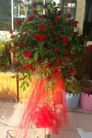 71 adet k�rm�z� g�lden ferf�rje �i�e�i Demetevler Oran 14 �ubat sevgililer g�n� �i�ek 