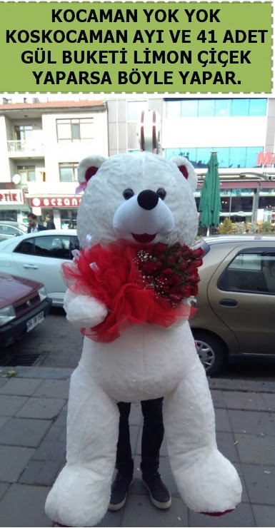 Koskocaman beyaz ay� ve 25 adet g�l Bat�kent yurti�i �i�ek sipari�i 
