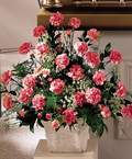 Ergazi Mahallesi �i�ek g�nderme sitemiz g�venlidir  Minyat�r ve pembe karanfiller