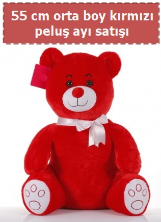 55 cm k�rm�z� orta boy oturan pelu� ay� Bat�kent �i�ek g�nderme 