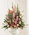 Demetevler Oran 14 �ubat sevgililer g�n� �i�ek  Glayor karanfil Gerbera tanzim