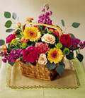 Kentkoop mahallesi �i�ek yolla  Sebboy Gerbera Karanfil tanzim