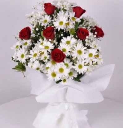 7 adet k�rm�z� g�l ve papatyalar krizantem kaliteli taze ve ucuz �i�ekler 