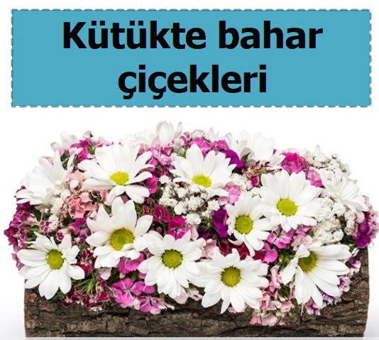 K�t�k i�erisinde k�r �i�ekleri Eryaman mahallesi �i�ek�iler 