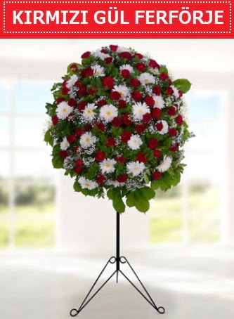 K�rm�z� g�l ferf�rje 40 adet g�l ve gerbera Bat�kent �i�ek g�nderme 