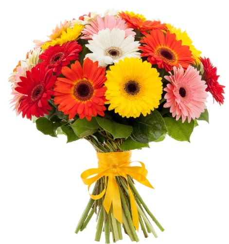 Gerbera demeti buketi Demetevler Oran 14 �ubat sevgililer g�n� �i�ek 