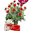Bat�kent �nternetten �i�ek sipari�i  �ikolata g�l oyuncak balon