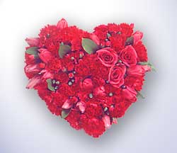 �vedik g�venli kaliteli h�zl� �i�ek  Kalp i�erisinde karanfil g�l